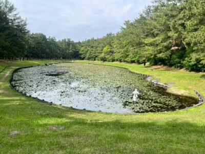 Photo28 Ka Hokulani Hula Studio みそぎ池ー宮崎県